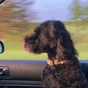 Meet your Posher, Sandra